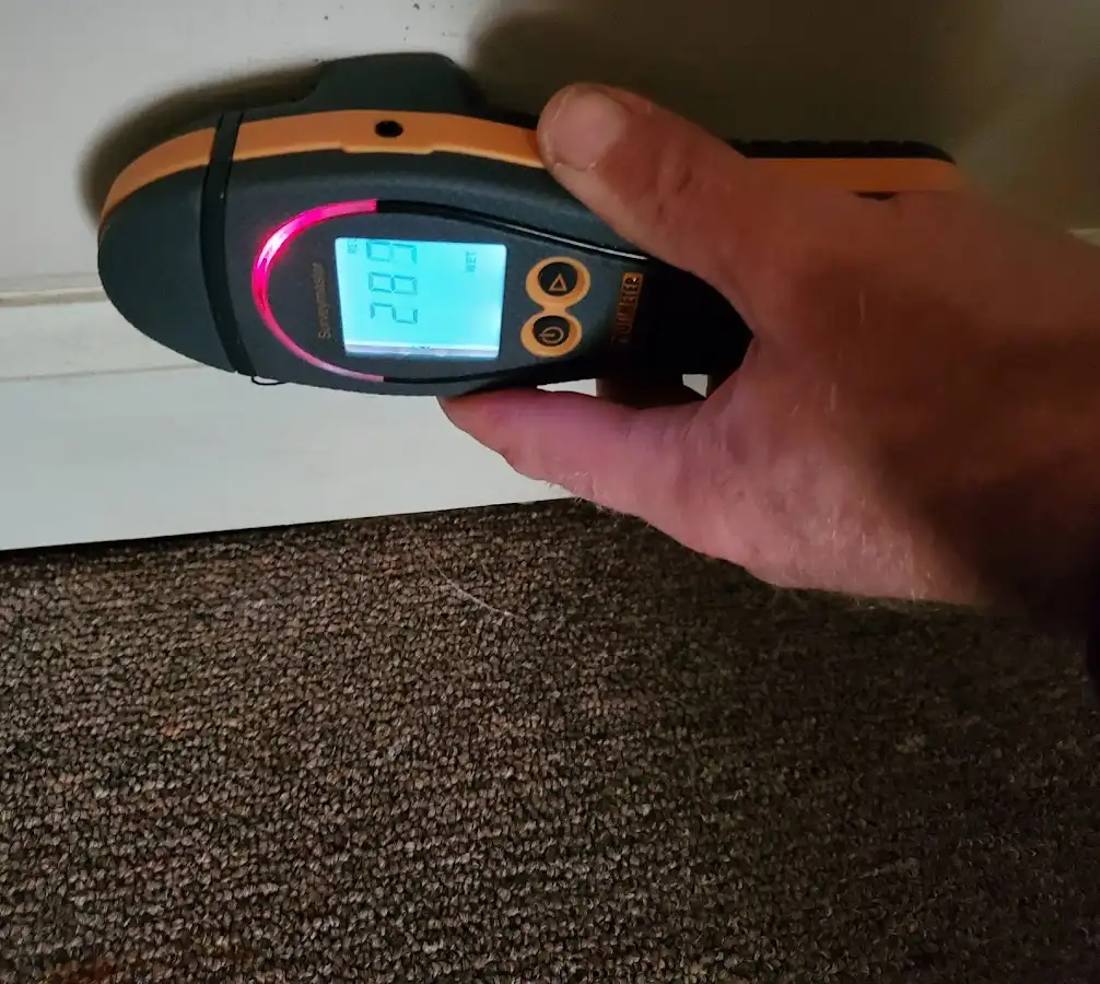 Moisture detection at baseboard during Sewage Cleanup & Sanitation in Missoula